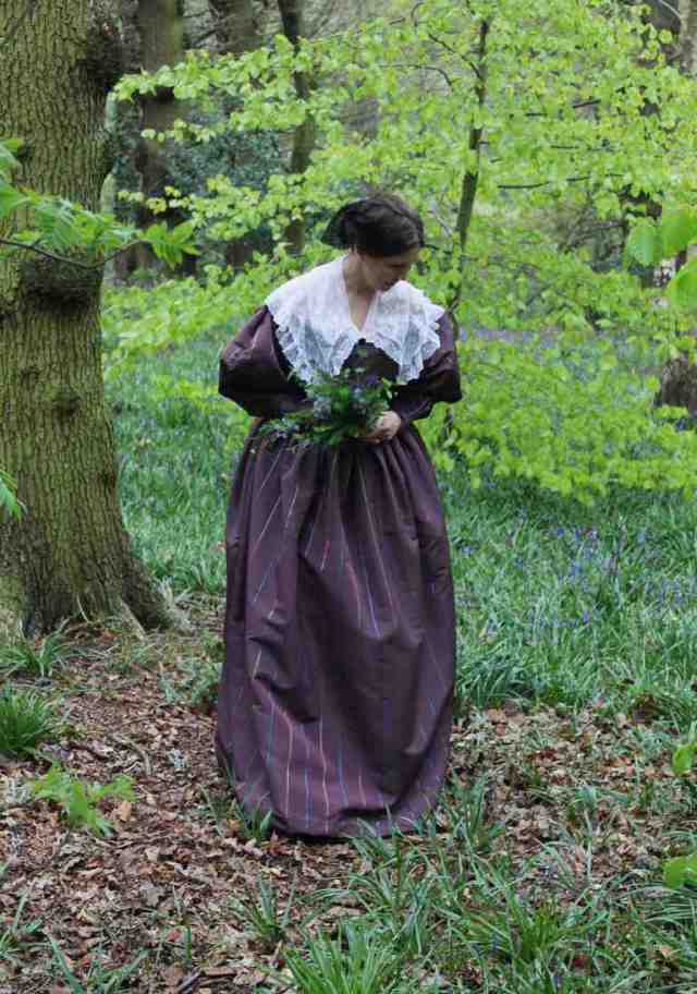 st ives bluebells 1830s gown
